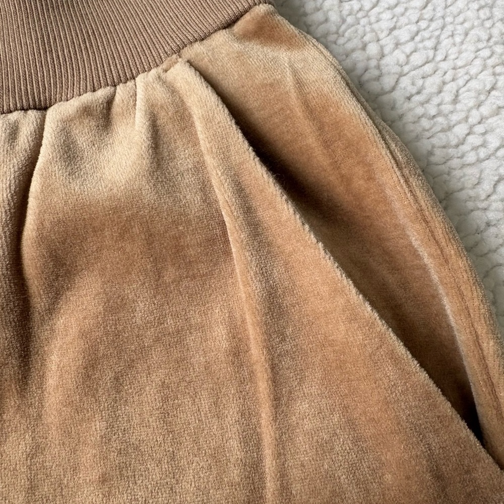 Eileen Fisher Cozy Velour Knit Jogger Pants - Picture 4 of 7